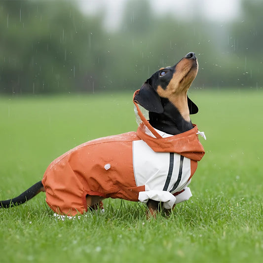 Maple Grove Full-Coverage Dog Rain Suit | Hooded 4-Leg Waterproof Raincoat