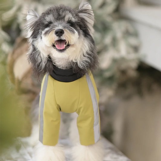 Urban Trail Dog Jacket | Lightweight Padded Shell Coat with Detachable Hood