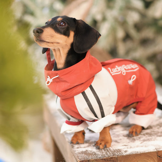 Maple Grove Cruise-Waterproof Dog Jacket
