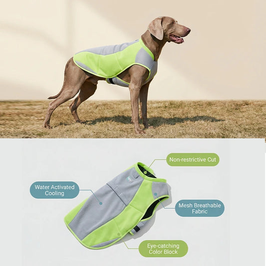Water-Activated Cooling Dog Vest with Sport Colorblock Design