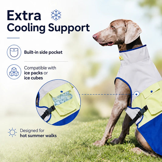 Outdoor Cooling Dog Vest with Pocket
