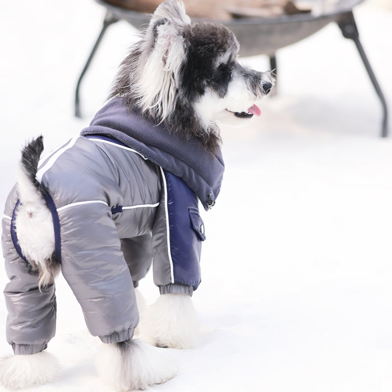 Aurora Courier-Waterproof Snowsuit