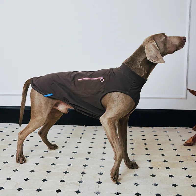 Cooling Dog Vest for Summer | Free Ice Pack Included & Breathable Outdoor Mesh