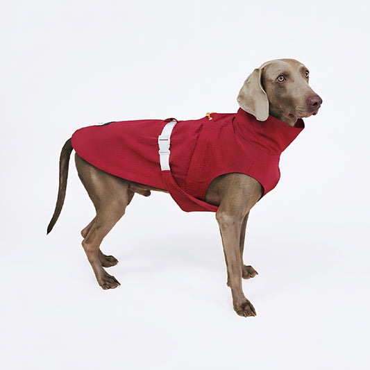 Dog Jacket, Red with White Stripes