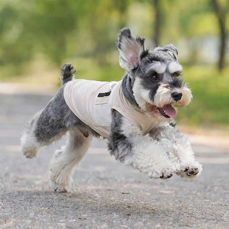 Cooling Dog Vest with Breathable Mesh | UPF 50+ Sun Protection for Summer