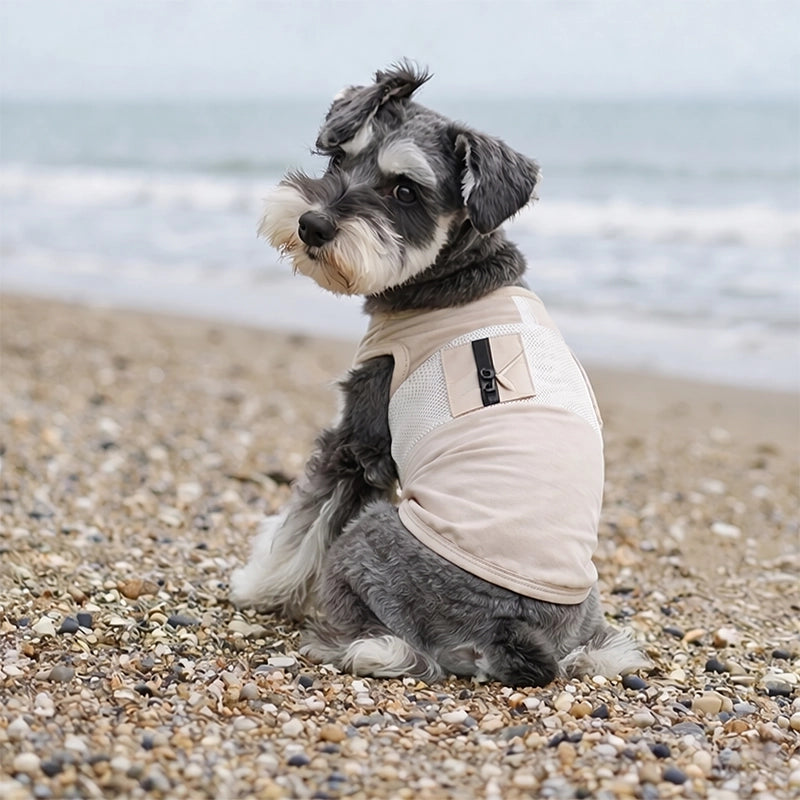 Cooling Dog Vest with Breathable Mesh | UPF 50+ Sun Protection for Summer