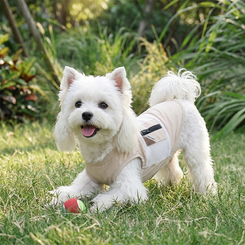 Cooling Dog Vest with Breathable Mesh | UPF 50+ Sun Protection for Summer
