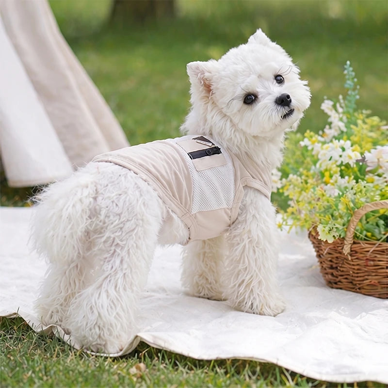 Cooling Dog Vest with Breathable Mesh | UPF 50+ Sun Protection for Summer