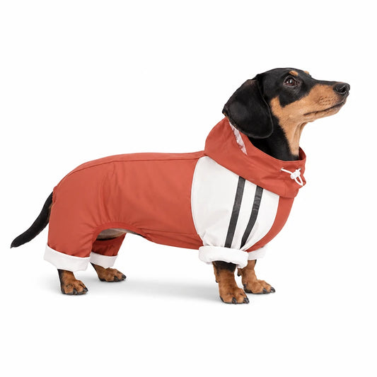 Maple Grove Full-Coverage Dog Rain Suit | Hooded 4-Leg Waterproof Raincoat