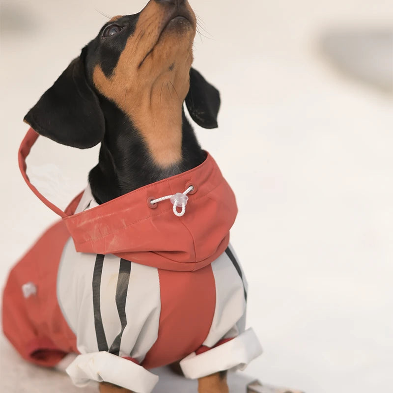 Maple Grove Full-Coverage Dog Rain Suit | Hooded 4-Leg Waterproof Raincoat