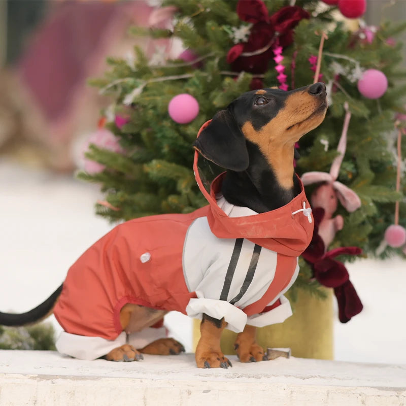Maple Grove Full-Coverage Dog Rain Suit | Hooded 4-Leg Waterproof Raincoat
