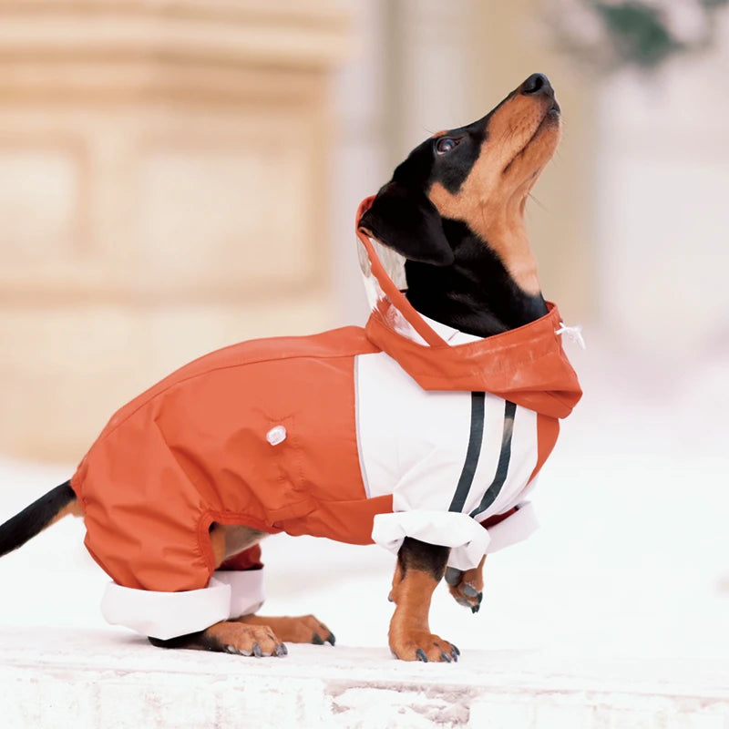 Maple Grove Full-Coverage Dog Rain Suit | Hooded 4-Leg Waterproof Raincoat