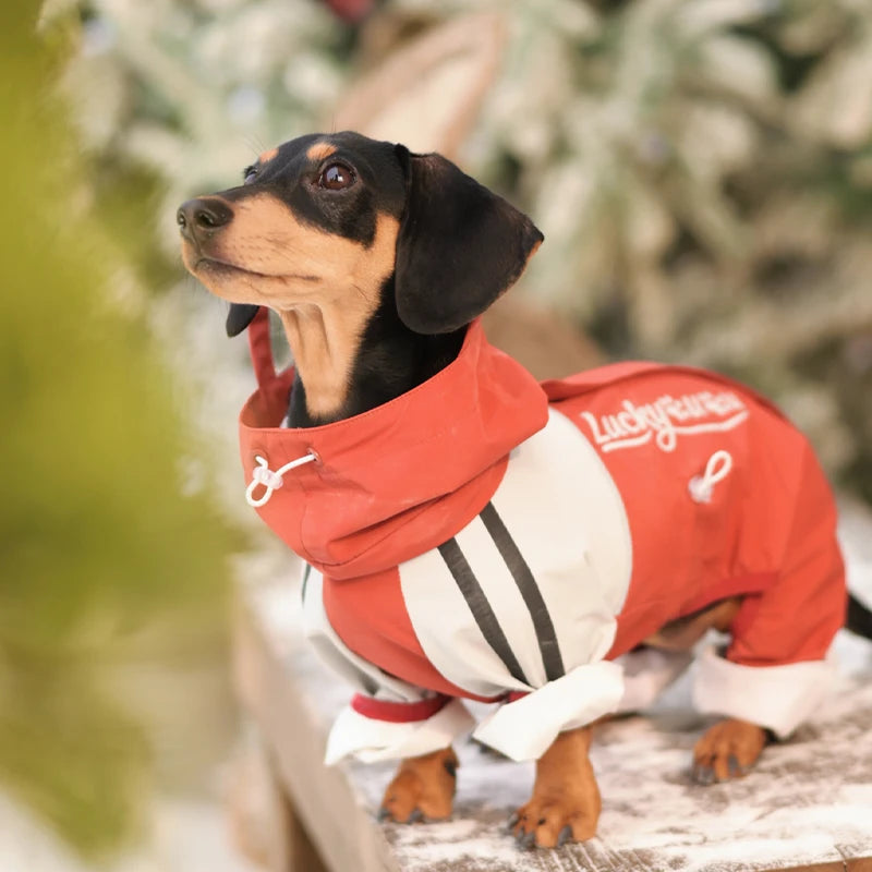Maple Grove Full-Coverage Dog Rain Suit | Hooded 4-Leg Waterproof Raincoat