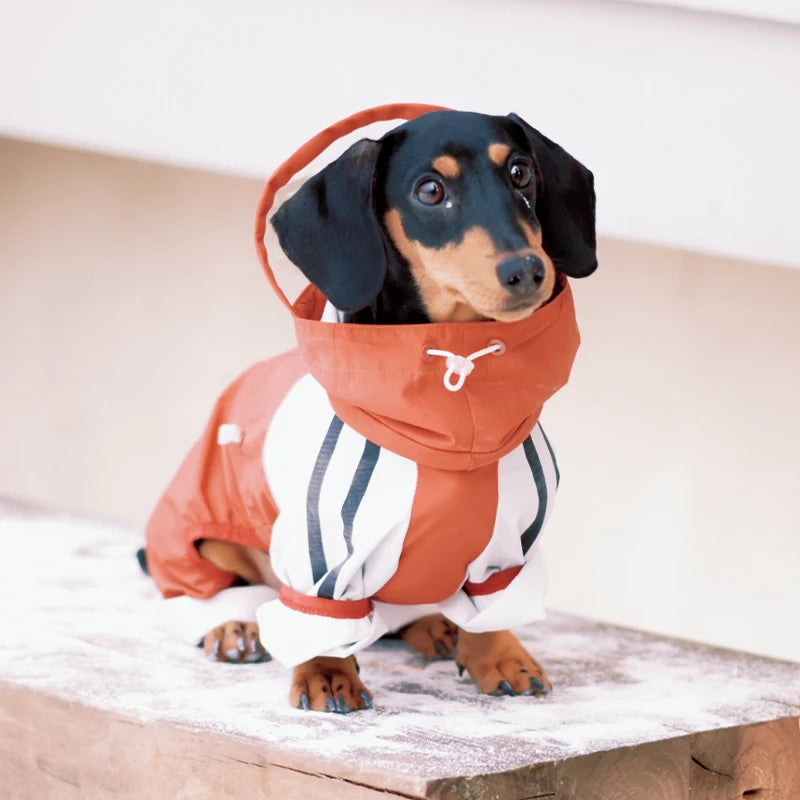 Maple Grove Full-Coverage Dog Rain Suit | Hooded 4-Leg Waterproof Raincoat