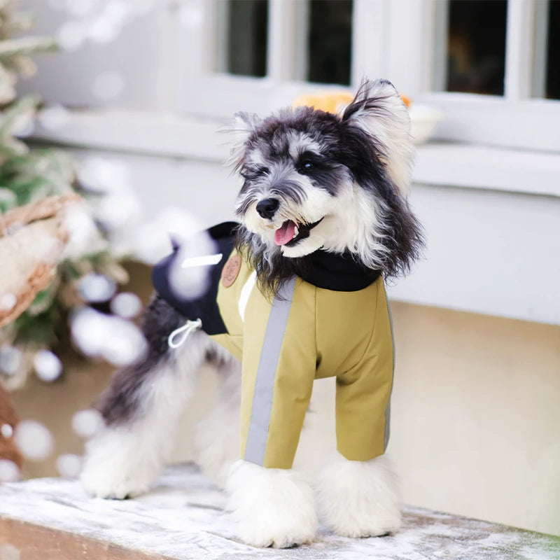 Urban Trail Dog Jacket | Lightweight Padded Shell Coat with Detachable Hood