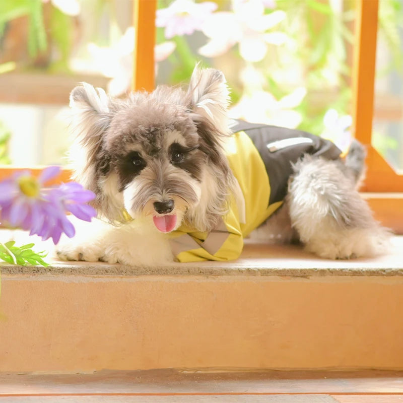 Urban Trail Dog Jacket | Lightweight Padded Shell Coat with Detachable Hood