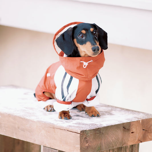 Maple Grove Cruise-Waterproof Dog Jacket