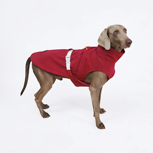 Windproof Dog Vest for Outdoor Adventures | Reflective Warm Dog Jacket with Adjustable Fit