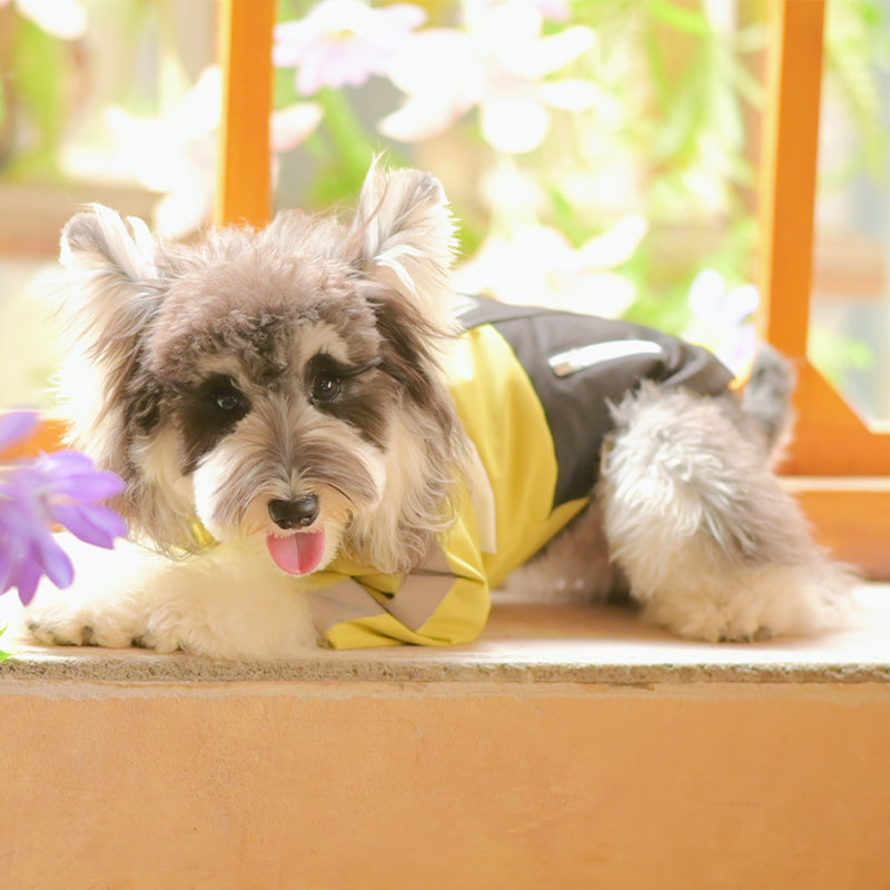 Night Patrol Pioneer-UrbanTrail Dog Jacket