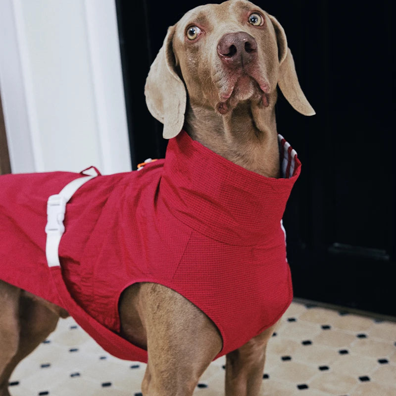 Windproof Dog Vest for Outdoor Adventures | Reflective Warm Dog Jacket with Adjustable Fit
