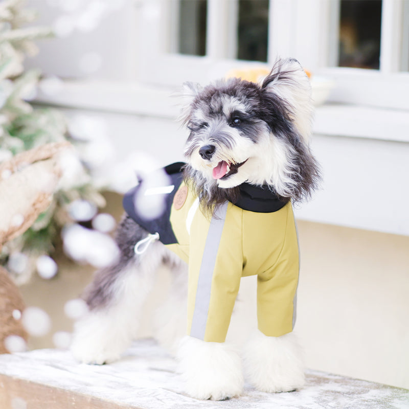 Night Patrol Pioneer-UrbanTrail Dog Jacket