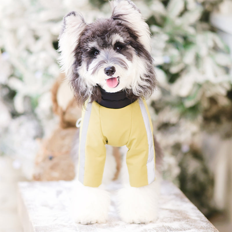 Night Patrol Pioneer-UrbanTrail Dog Jacket