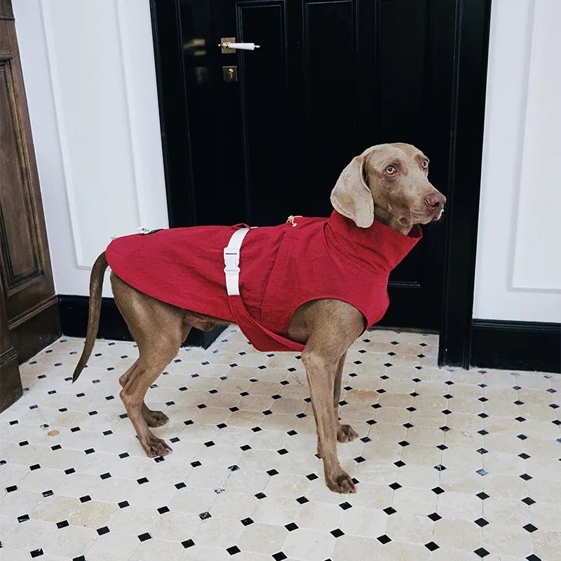 Windproof Dog Vest for Outdoor Adventures | Reflective Warm Dog Jacket with Adjustable Fit