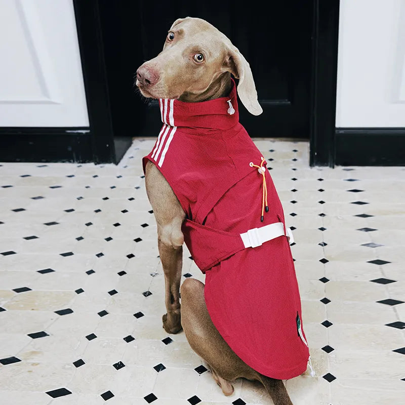 Windproof Dog Vest for Outdoor Adventures | Reflective Warm Dog Jacket with Adjustable Fit