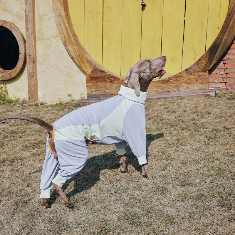 Dog Full Body Suit Onesie