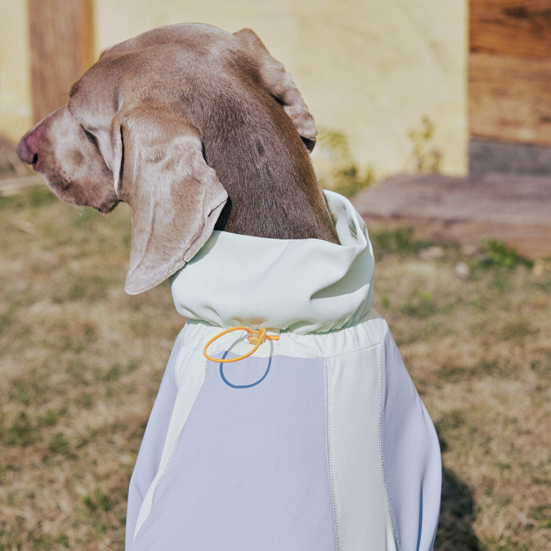 Dog Full Body Suit Onesie