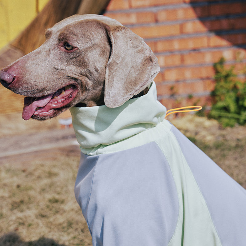 Dog Full Body Suit Onesie