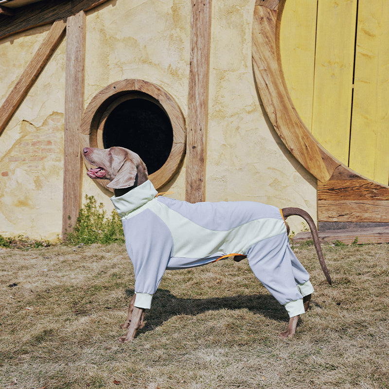 Dog Full Body Suit Onesie