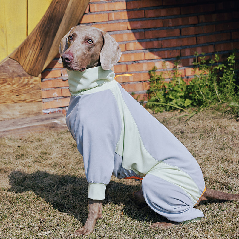 Dog Full Body Suit Onesie