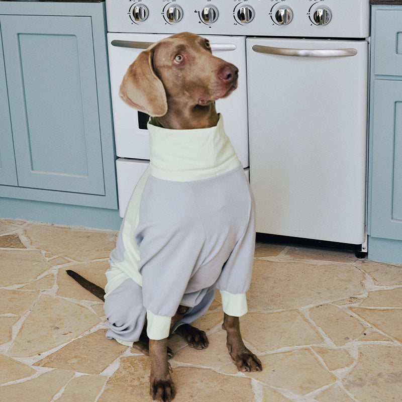 Dog Full Body Suit Onesie