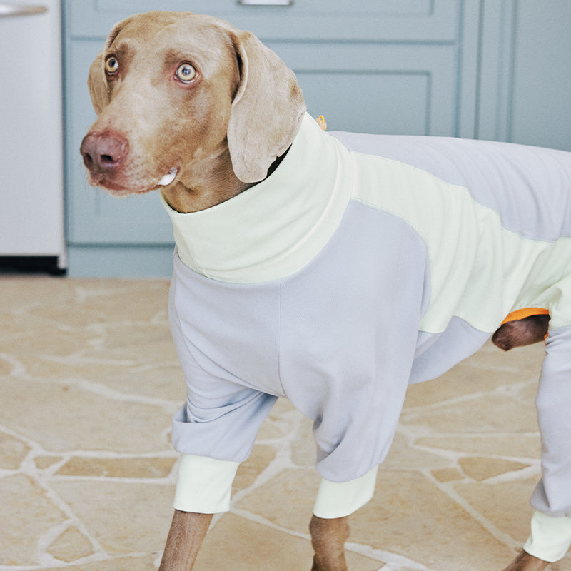 Dog Full Body Suit Onesie