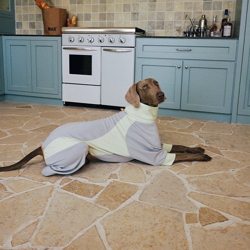 Dog Full Body Suit Onesie