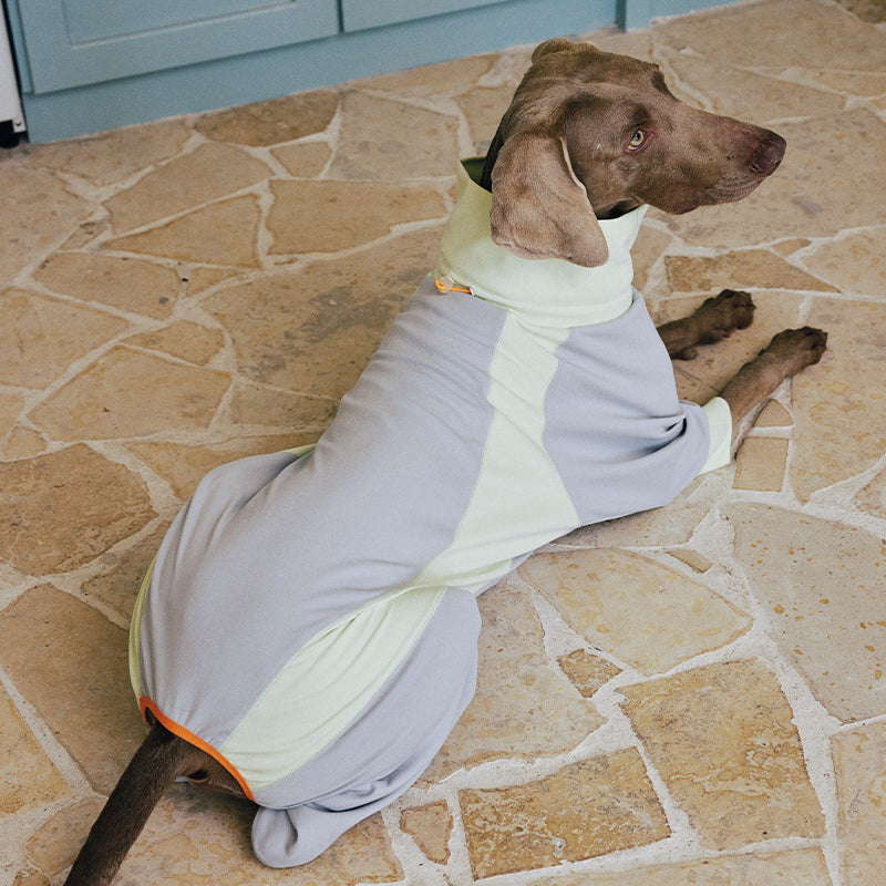 Dog Full Body Suit Onesie
