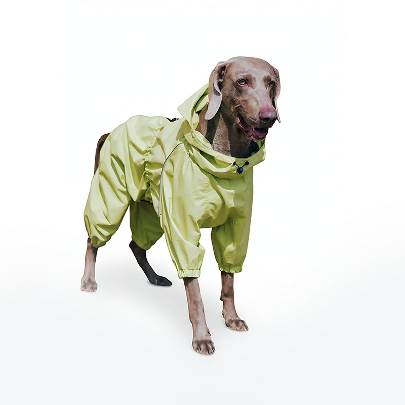 Dog Raincoat Full Body Coverage