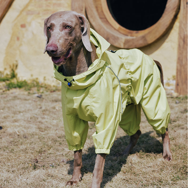 Dog Raincoat Full Body Coverage