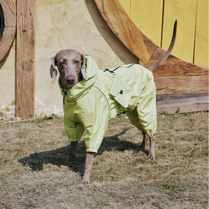Dog Raincoat Full Body Coverage