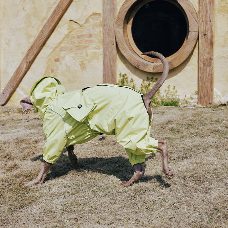 Dog Raincoat Full Body Coverage