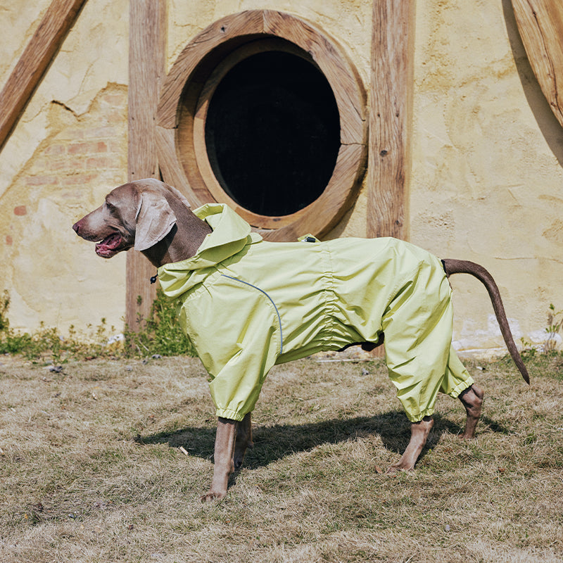 Dog Raincoat Full Body Coverage