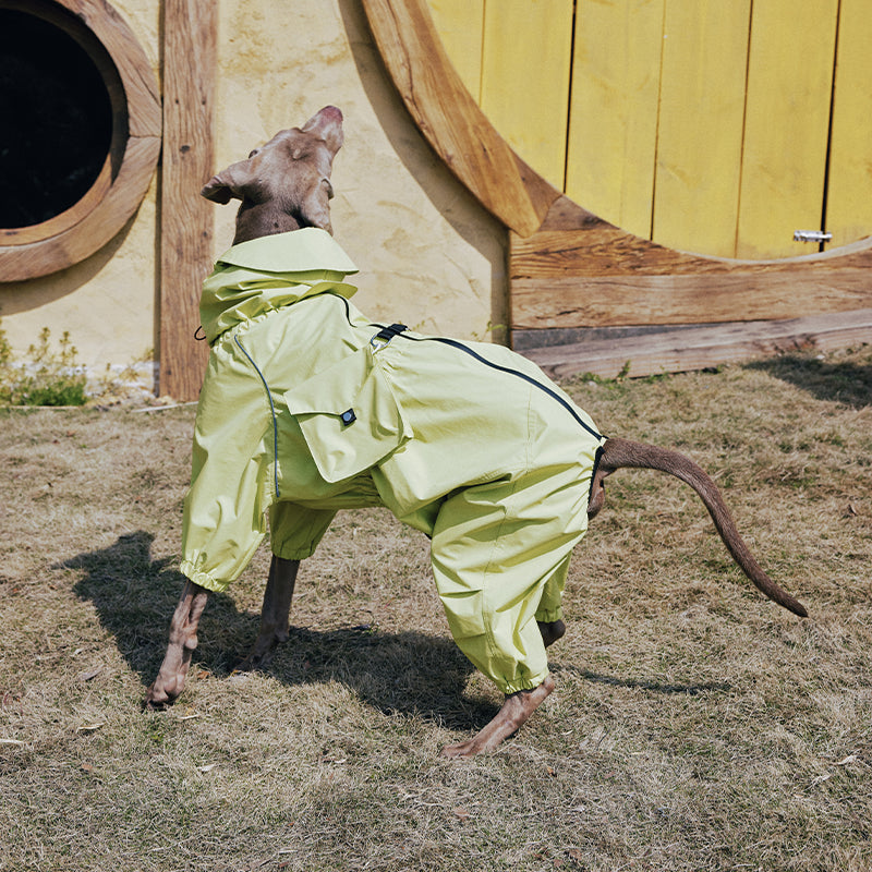 Dog Raincoat Full Body Coverage