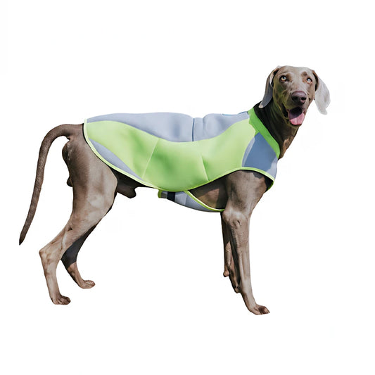 Quick Dry Shirt for Summer Hot Day