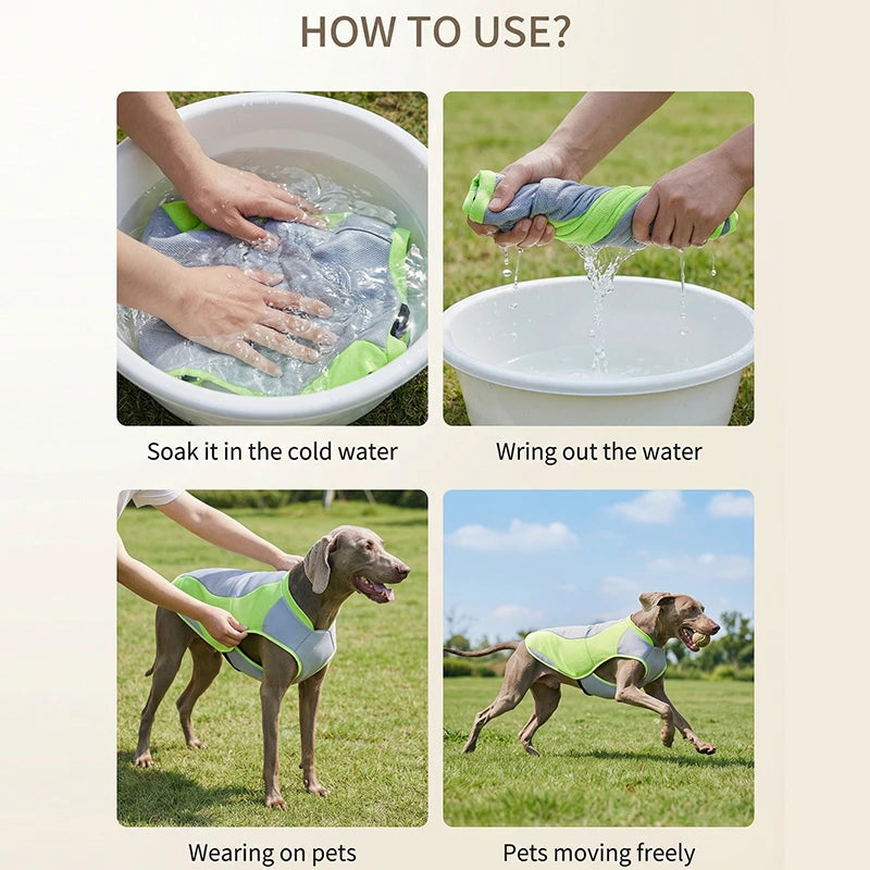 Water-Activated Cooling Dog Vest with Sport Colorblock Design
