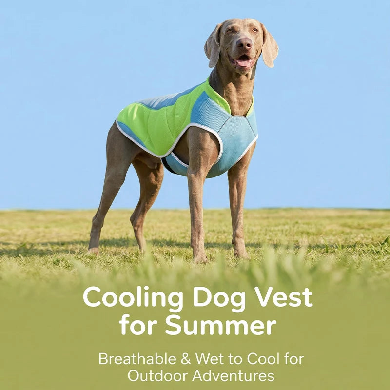 Water-Activated Cooling Dog Vest with Sport Colorblock Design