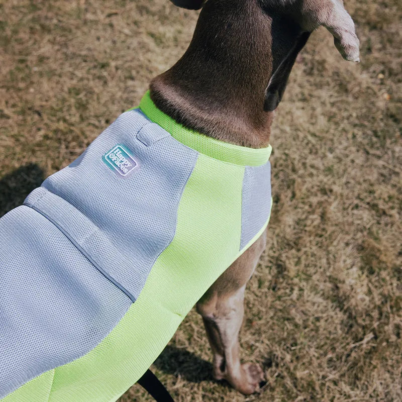 Water-Activated Cooling Dog Vest with Sport Colorblock Design