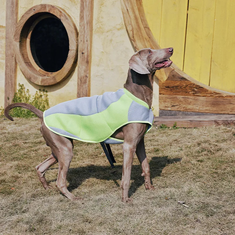 Water-Activated Cooling Dog Vest with Sport Colorblock Design