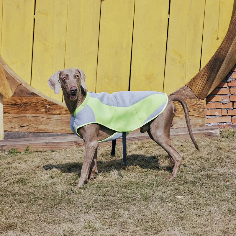Water-Activated Cooling Dog Vest with Sport Colorblock Design