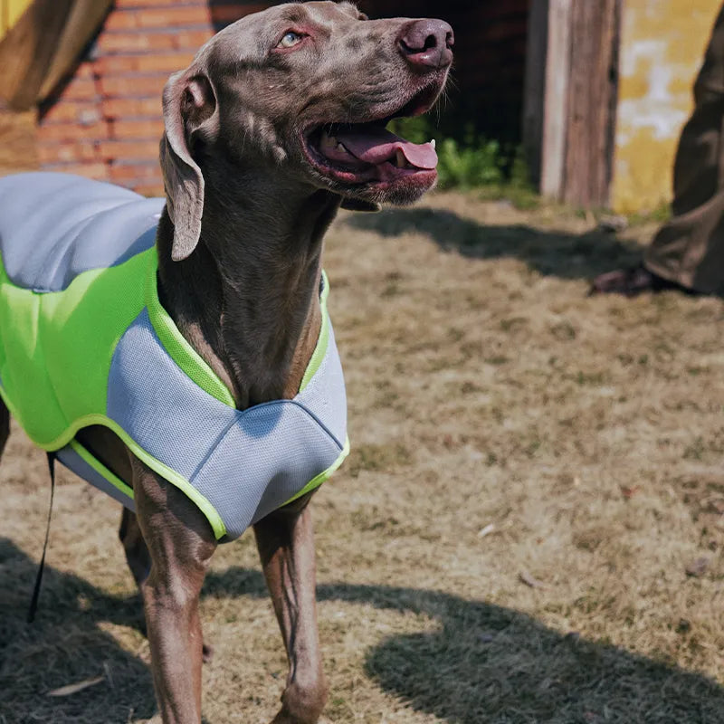 Water-Activated Cooling Dog Vest with Sport Colorblock Design